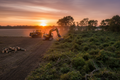 Land Clearing & Brush Removal
